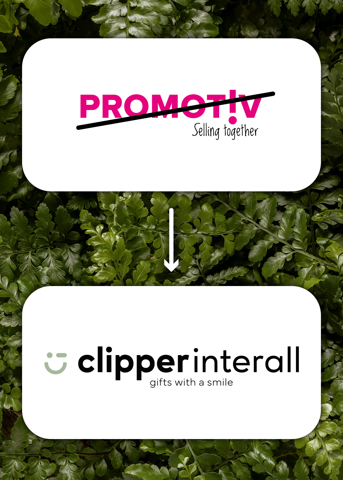 Vidste du, at Promotiv blev til Clipper Interall?