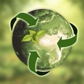 Greenwasing - mere uvidenhed end ond vilje